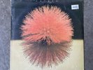 Yutaka Yokokura Love Light  1981 Vinyl Record Sealed Brand New
