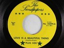 Girl Group Garage 45 - Sandpipers - Love Is A Beautiful Thing - Private - VG++