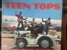 LOS TEEN TOPS / La Plaga  Latin Pop/Rock 1 Vinyl