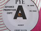 JIMMY NICOL (BEATLES) - HUSKY (DEMO) - PYE
