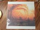 Aphex Twin- Selected Ambient Works II Vinyl Like New OOP