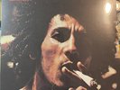 Bob Marley - Catch a Fire, Tuff Gong #1755 Jamaica Reissue Brand New  Vinyl LP