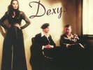 DEXYS - One Day I'm Going To Soar - Vinyl (gatefold gold vinyl 2xLP)
