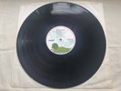 SPARKS  KIMONO MY HOUSE  Original UK LP  MINT-  *STUNNING*