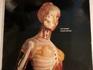 Pink Floyd - Ron Geesin Roger Waters - Music From The Body LP UK  Vinyl - 1970s
