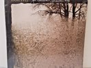 Bon Iver For Emma, Forever Ago Vinyl LP New Sealed 12