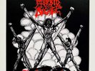 MORBID ANGEL . kingdome come 7