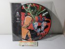 Alkaline Trio / Hot Water Music ‎– Split Picture Disc, Silver Insert 2005 LP