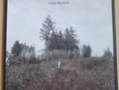 Damien Jurado - Saint Bartlett  Vinyl (Record, 2010)