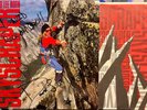 DAVID LEE ROTH - 'Skyscraper'. 1988 US release on Warner Bros Records. SIGNED.