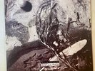 DAVID SYLVIAN SECRETS OF THE BEEHIVE  LP VINYL 1 PRESS  1987 ITA N.MINT
