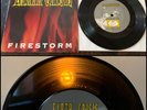EARTH CRISIS Firestorm 7” Vinyl 1st Press-the path of resistance freya framework