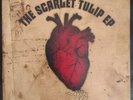 The Scarlet Tulip KT Tunstall 10