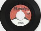 SKA REGGAE VINYL DUBPLATE RANDYS DON DRUMMOND 