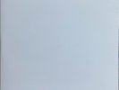 The Who - Who's Next 2XLP 45 RPM Analogue Productions Test Pressing