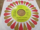 MID DAY RAIN 45 rpm Welcome to the Rain RCA 74-0338 PROMO SOFT PSYCH