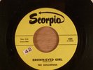 The Golliwogs Brown-Eyed Girl/You Better Be Careful  RARE   Garage 1965 Pre CCR