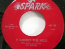 The ROBINS 45 If Teardrops Were Kisses / Whadaya Want? REPRO VG++ Doowop #2769