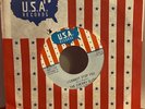 EX. 60’s Garage Band CHERRY SLUSH 45 Don't Walk Away-I Cannot Stop You USA NM.
