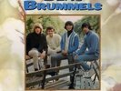 LP The Beau Brummels The Best Of The Beau Brummels NEAR MINT Rhino Records