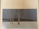 LP, George Winston - December, Piano Solos, Windham Hill WH-1025, NM
