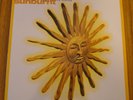 Martin Phillipps & The Chills – Sunburnt vinyl LP Flying Nun FN303 + insert NM 