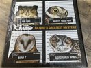 The Four Owls - Nature’s Greatest Mystery 1st press. UK Hip Hop.