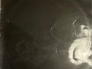 Velvet Underground - White Light/White Heat. First Press MONO vinyl. VG/VG