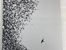 Wilco- Sky Blue Sky Vinyl LP (2007) Nonesuch Records