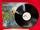 Clean Orig Lonnie Liston Smith Visions New World Flying Dutchman Vinyl Record LP