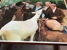 BEACH BOYS PET SOUNDS LP ORIGINAL UK STEREO CAPITOL ST2458 1966-EX.PLUS.PLAYS EX