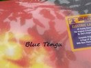Electric Ladyland Jimi Hendrix Experience Family Authorized 180g OGV Double LP