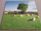 The KLF - Chill Out - Clear Transparent Vinyl Record Album LP Reissue Ambient