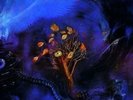 The Moody Blues - On the Threshold of a Dream [New Vinyl LP]