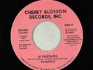 Funk/Sweet Soul 45 - Acoustics - So Frustrated - Cherry Blossom