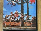 Bijelo Dugme Pljuni I Zapjevaj Moja Jugoslavio Vinyl LP Schallplatte 1986 EX YU