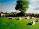 The KLF - Chill Out. Clear Vinyl LP. New.