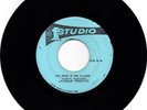Lascelle Perkings  - No Man Is An Island/ Sound Dimension - No Man A RARE CUT 7