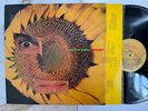 CAETANO VELOSO Circulado ORIG BRAZIL TROPICALIA LP VG+  HEAR
