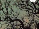 Föllakzoid - Föllakzoid (Vinyl LP - 2021 - US - Original)