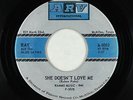 Northern Soul 45 - Ray & Blue Satins - She Doesn't Love Me - ARV Int'l - rare