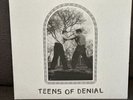 Car Seat Headrest Teens of Denial Vinyl LP 2016 Opened but Never Played Like New