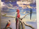 ALEX G – GOD SAVE THE ANIMALS - VINYL LP BLACK - VG+ - A11