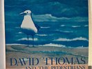 David Thomas + the Pedestrians Richard Thompson - Variations on Theme - Pere Ubu