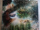 Pink Floyd LP A Saucerful Of Secrets UK Columbia Mono 1st Press BEAUTIFUL COPY