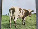 Pink Floyd ‎– Atom Heart Mother 1971 UK 2nd Issue 1st mother stampers 1971. NM
