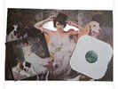 Norah Jones - The Fall Vinyl LP Nov-2009 Releases Blue Note Records USA W/Poster