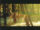 CHILDISH GAMBINO - Camp - Vinyl (trifold 180 gram vinyl 2xLP)