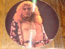 LED ZEPPELIN LIVE IN CENTRAL PARK 21 JUNE 1969 5-TRACK PLANT PICTURE DISC LP