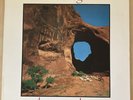 The Bridge - A Tribute To Neil Young V/A LP Caroline Records (CAROL 002) Vinyl